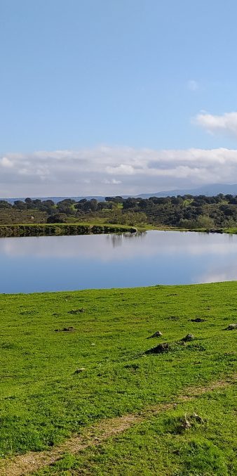 60906_EstanqueCanadas(1)